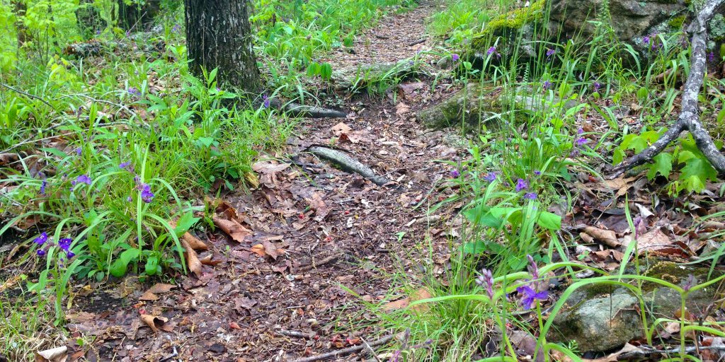 Stevens Creek 23 1024×768