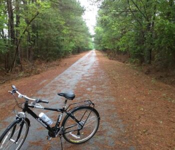 Trail Biking South Carolina