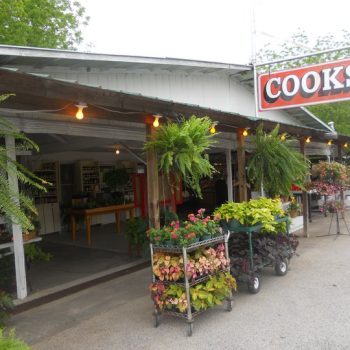 Cooks Roadside peach stand