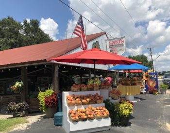 peach markets and stands