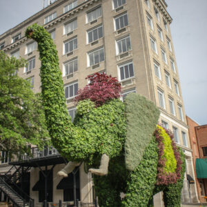 festival of flowers elephant topiary in front of inn on the square