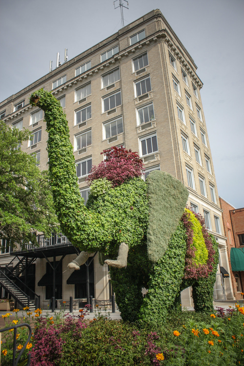 festival of flowers elephant topiary in front of inn on the square