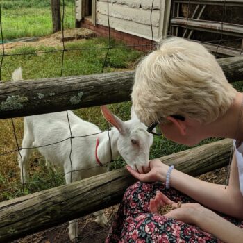 petting goats in the spring at Emerald Farm