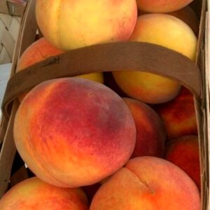 Basket of Peaches Basket of Peaches