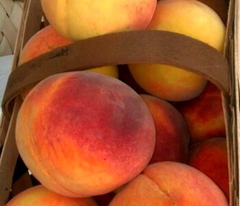 Basket of Peaches