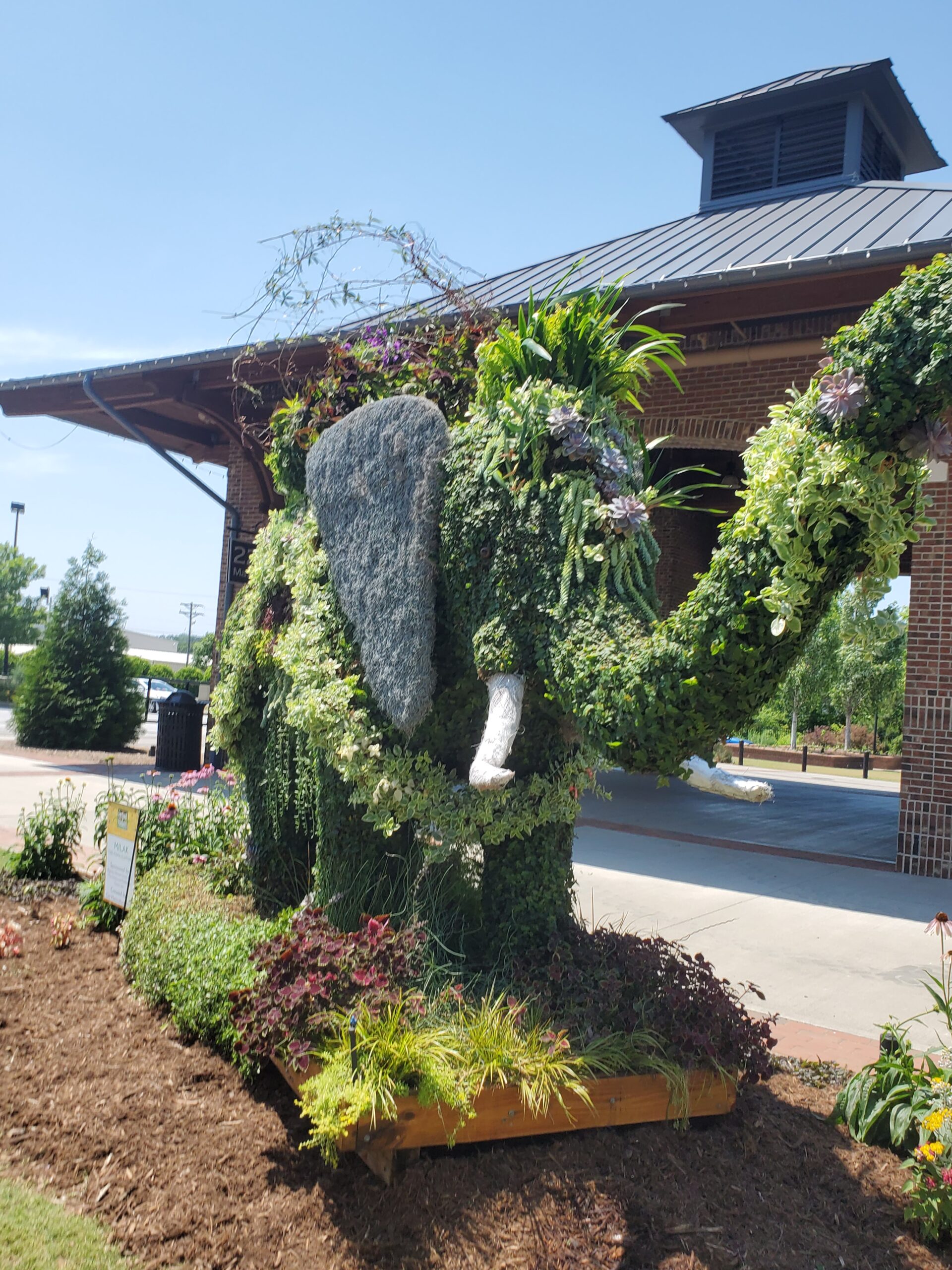 south carolina tobacco festival Visit Explore the Festival of Discovery