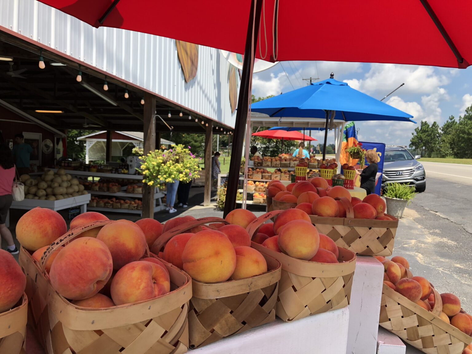 Ridge Peach Festival Trenton Sc 2024 Faythe Lilian