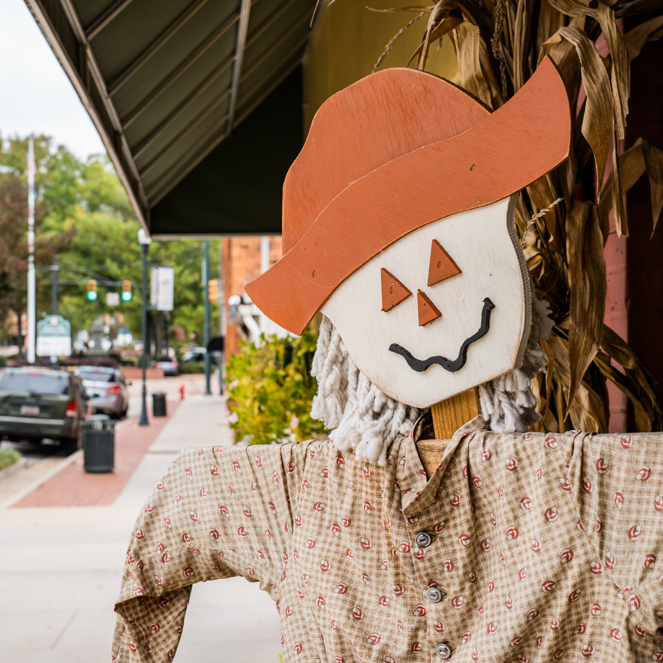 Fall Festivals in the Old 96 District The Old 96 District South Carolina