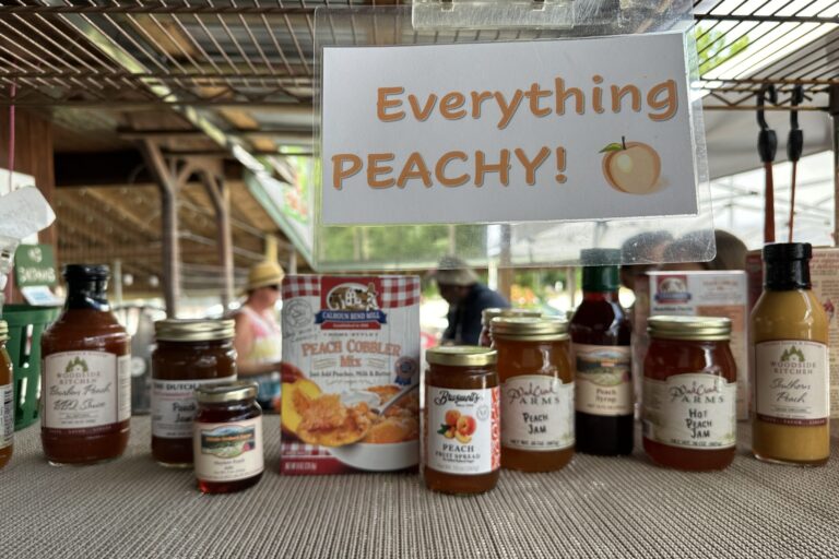 PeachStand1_CheréCoen